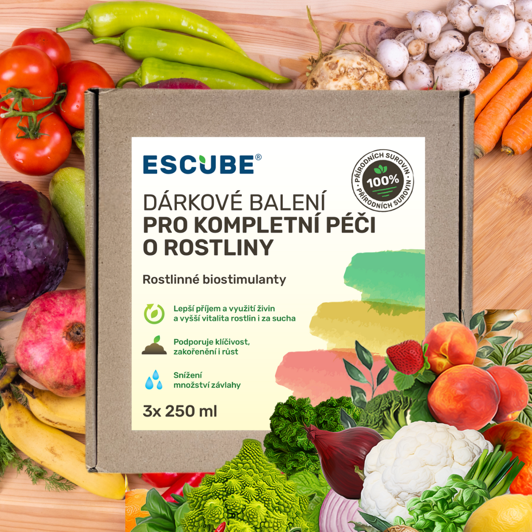 Dárkové balení 2_cz--cs-CZ